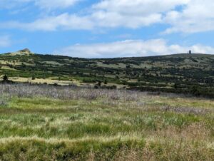 Hochmoor und Quellgebiet der Elbe
